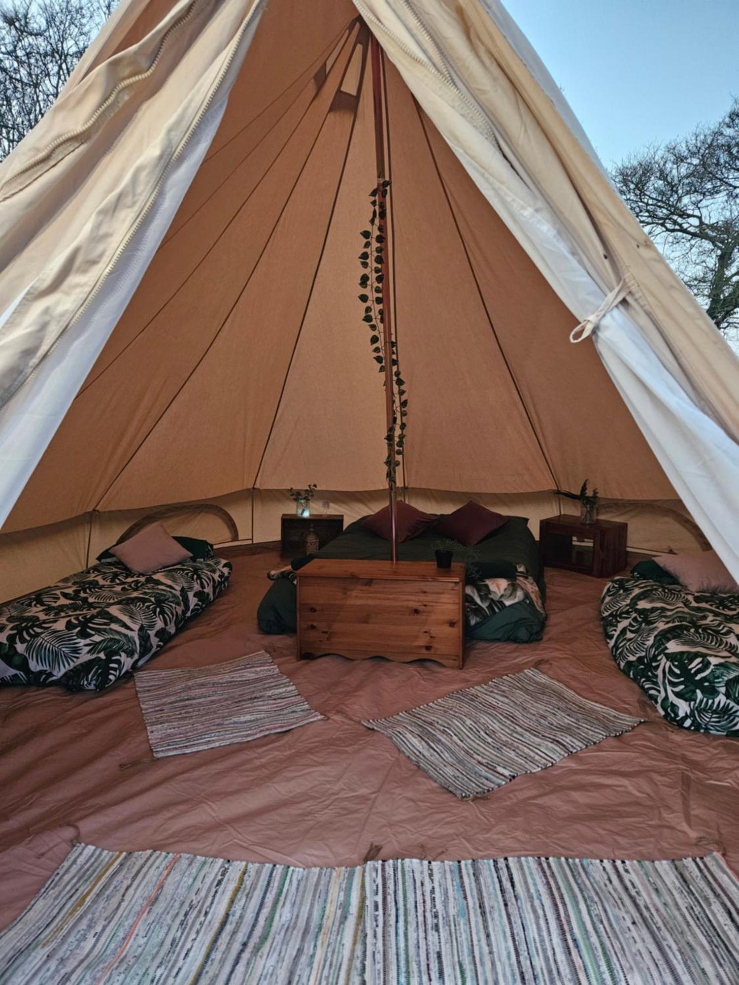 Luksustelt Readers Field Glamping
