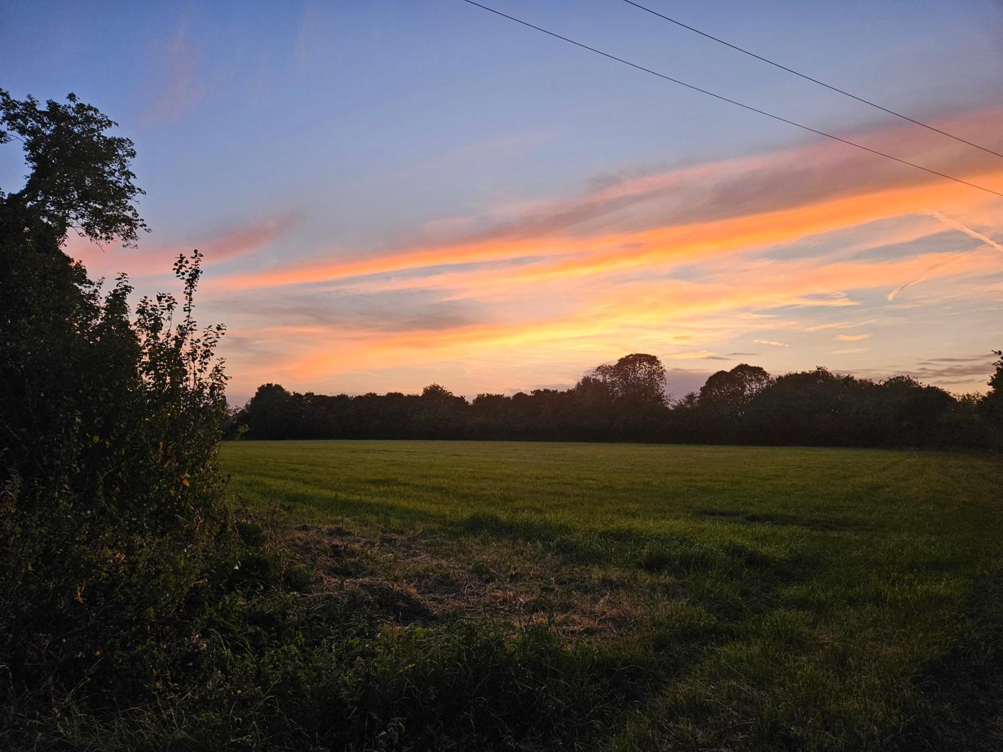Luksustelt Readers Field Glamping *