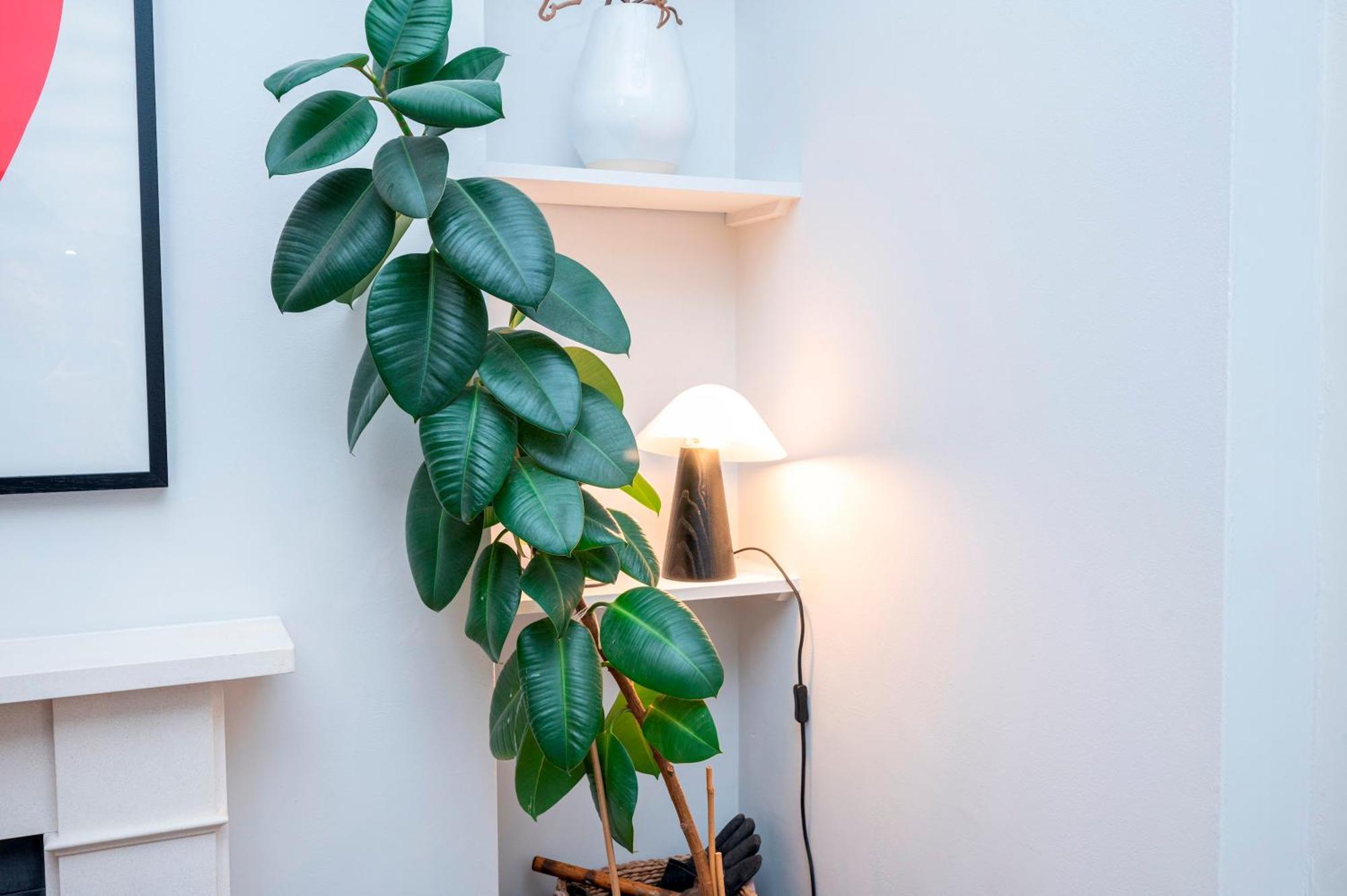 Pass The Keys Luxury Stylish Duplex With Private Garden Lägenhet *