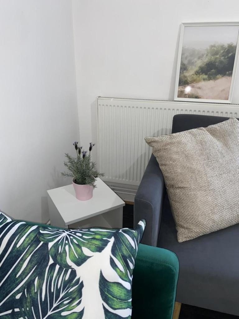 Entire Spacious - Close To Apartment