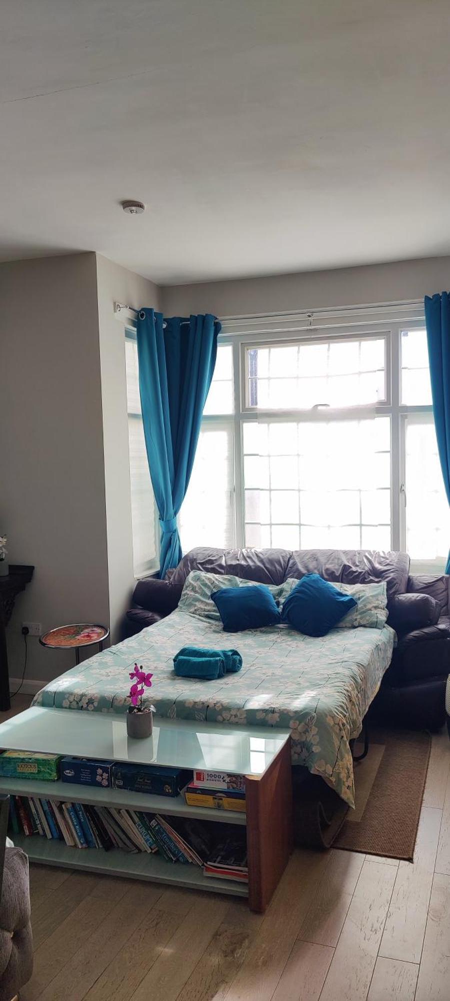 With Jacuzzi Bath, Ground Floor, Excellent Transport Connections Apartment London