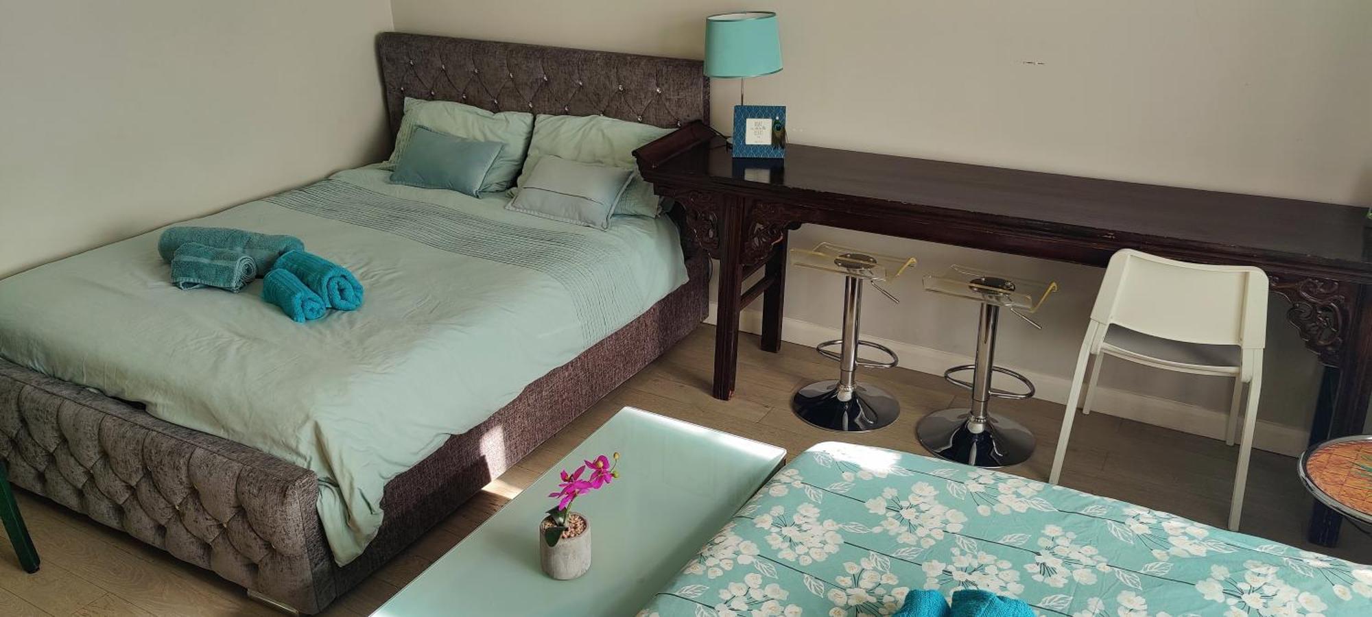 Apartment With Jacuzzi Bath, Ground Floor, Excellent Transport Connections London