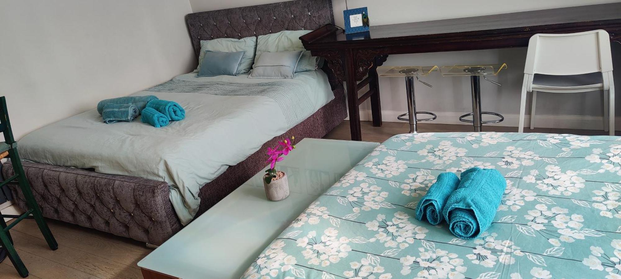 Apartment With Jacuzzi Bath, Ground Floor, Excellent Transport Connections *