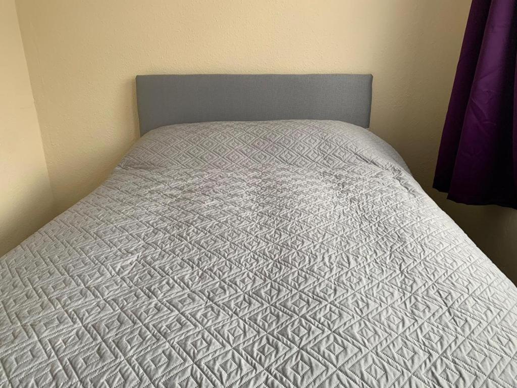 Holiday home Spacious 4-bedroom House Near Station *