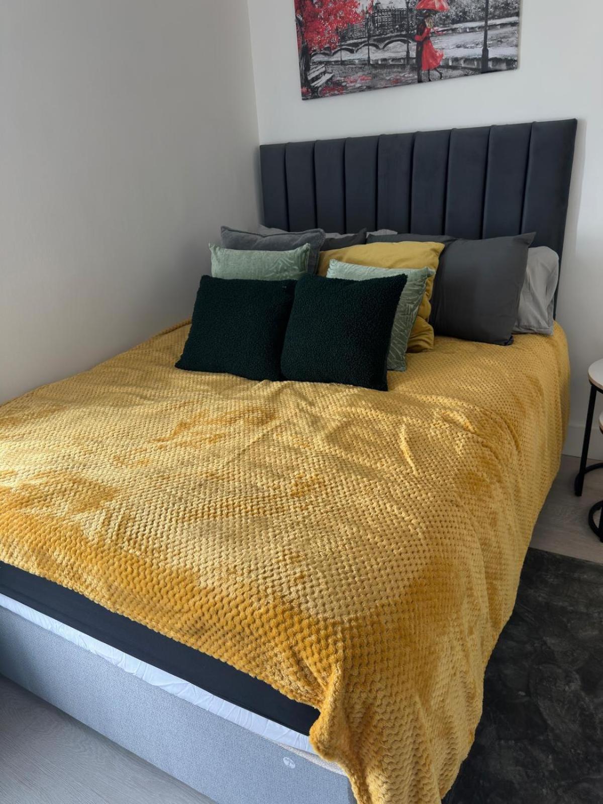 Apartment Spacious With Separate The Kitchen 4a London
