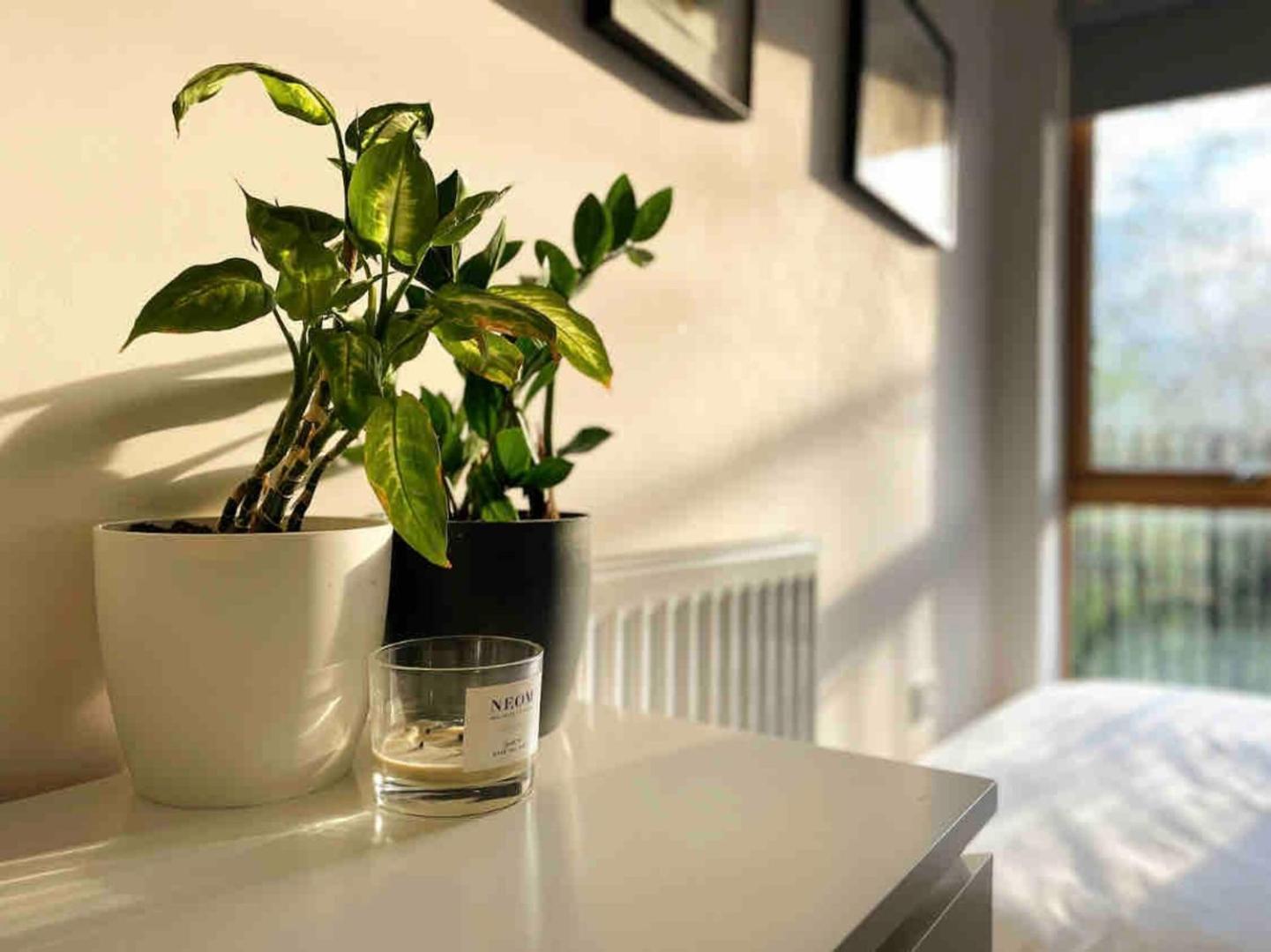 Beautiful Bright 3-bed Next To Station