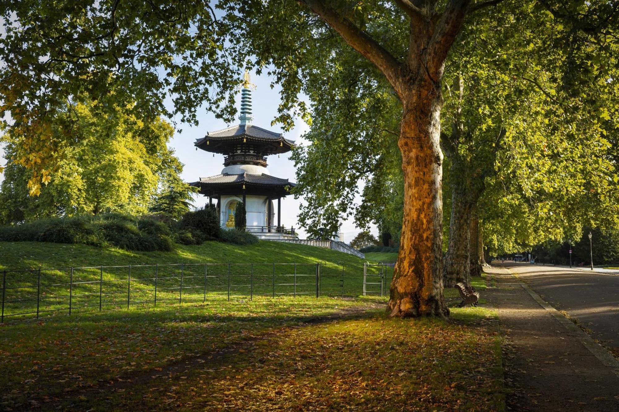 Charming Bright 2-Bed Heritage Flat, Battersea Park, London Appartement Londen
