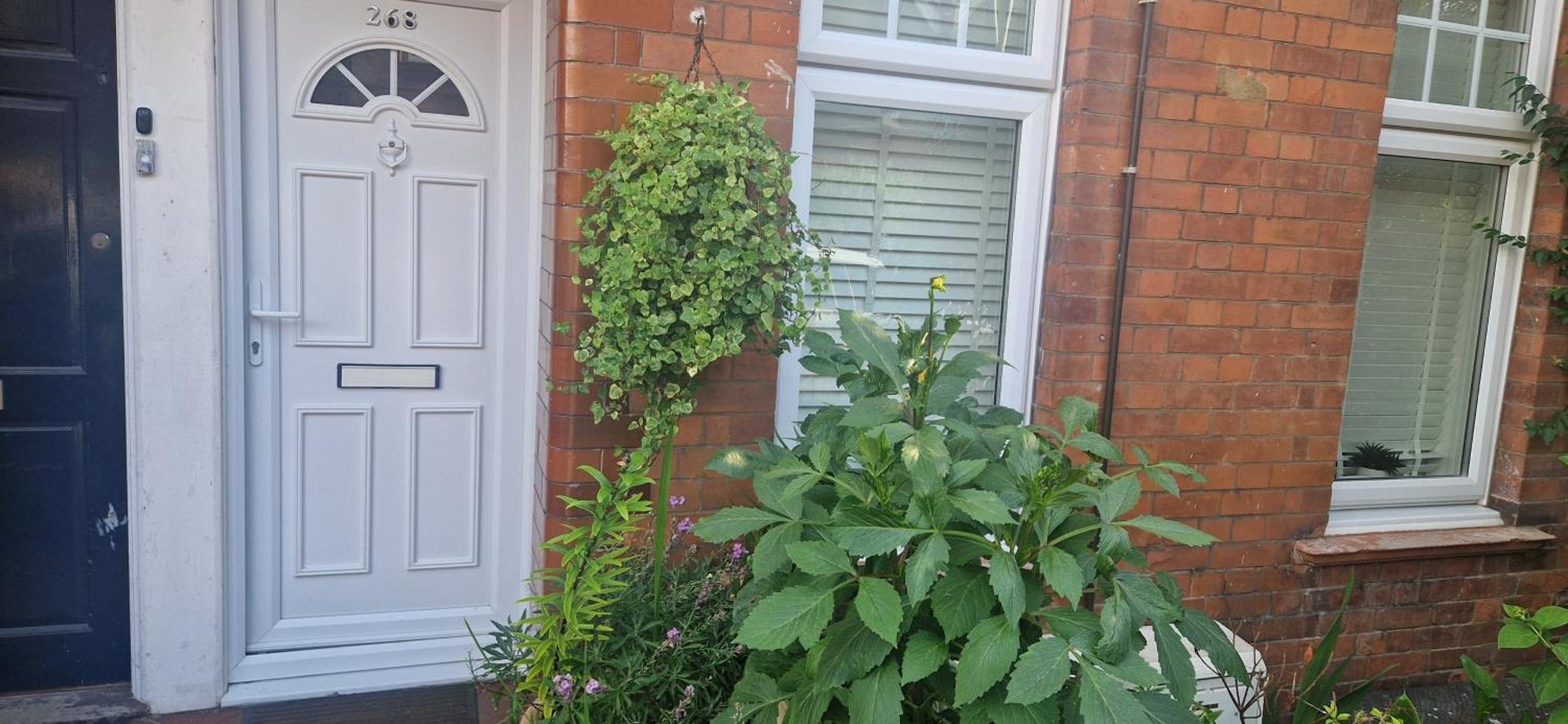 The Cozy Lambeth Guest house *