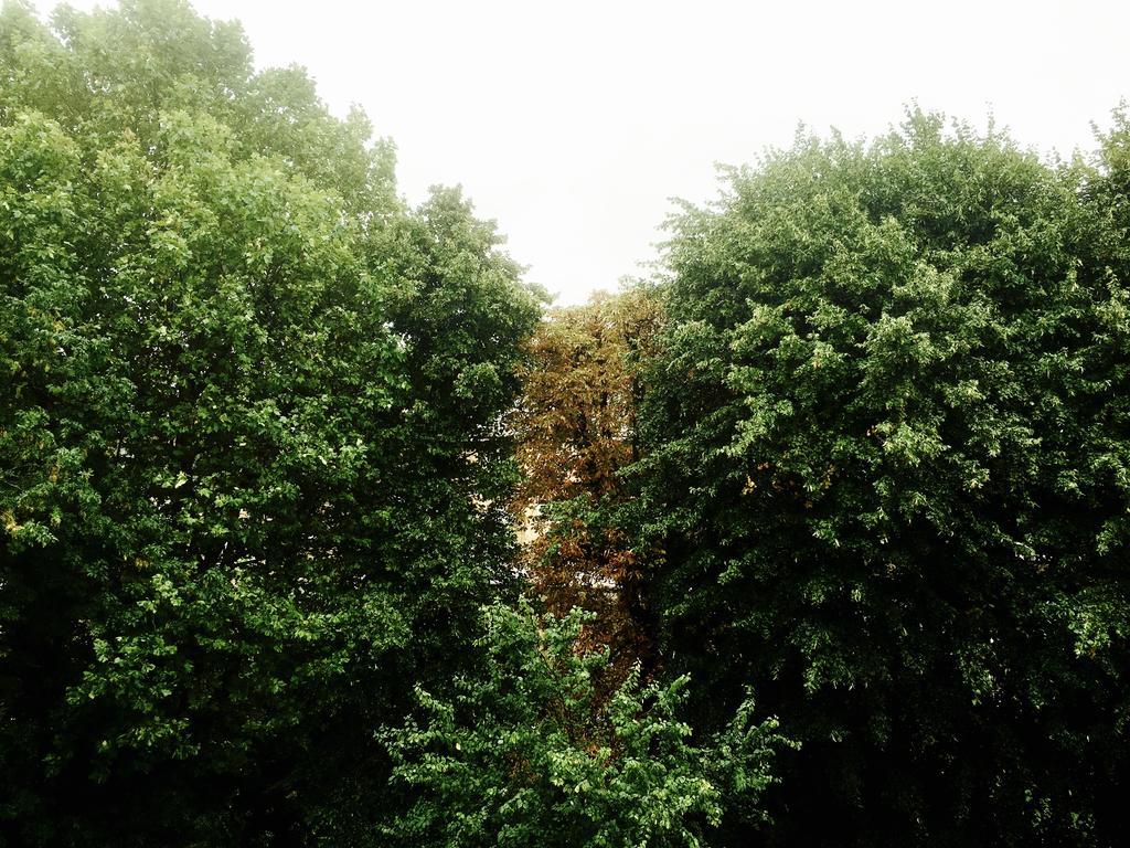 Holland Park Lifestyle