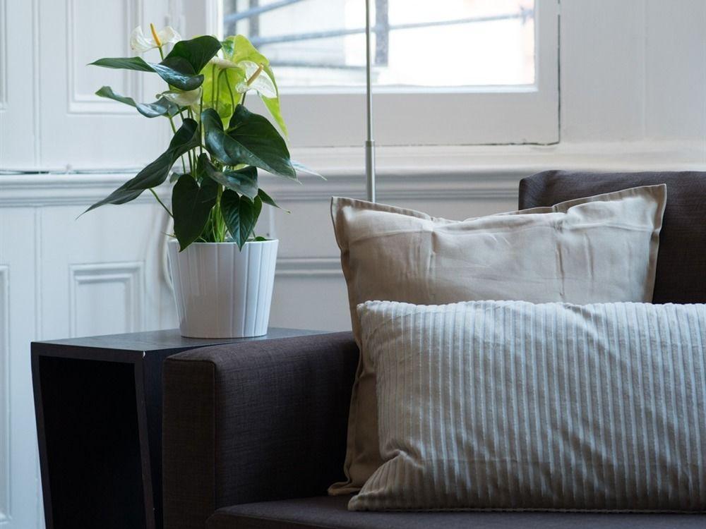 Luxton - Knightsbridge