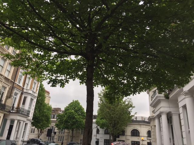 Kensington Rooms And Apartments London