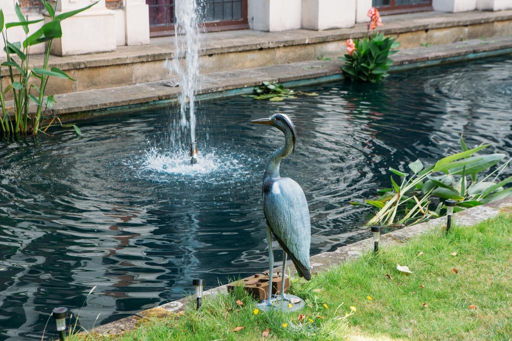 Ostello Safestay Kensington Holland Park (adults Only)