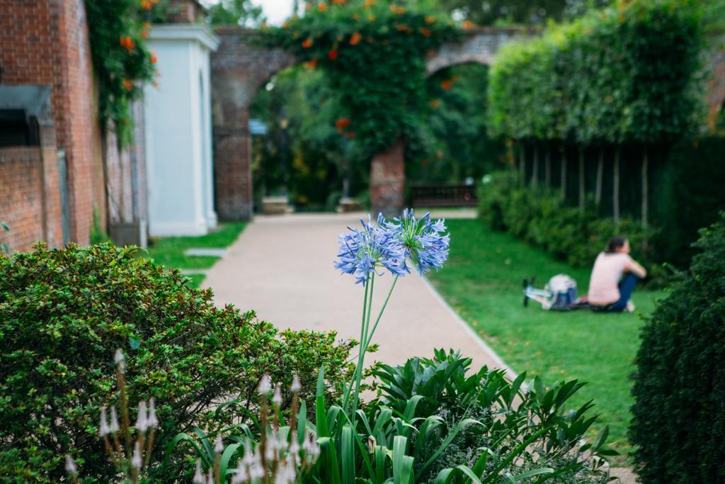 Safestay Kensington Holland Park (adults Only) Ostello