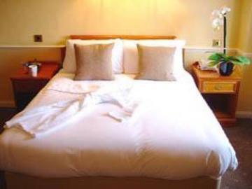 Hotel Umi 3*