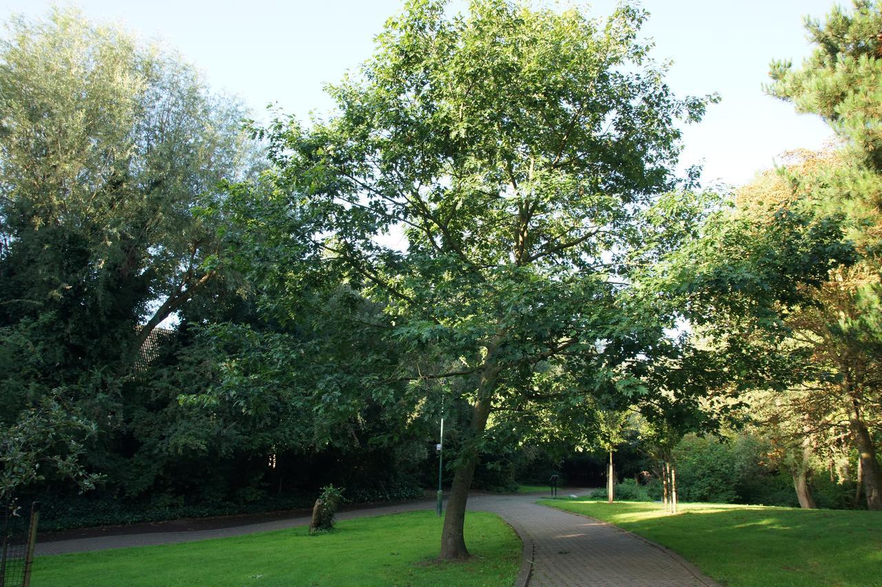 Boogaard's Londen