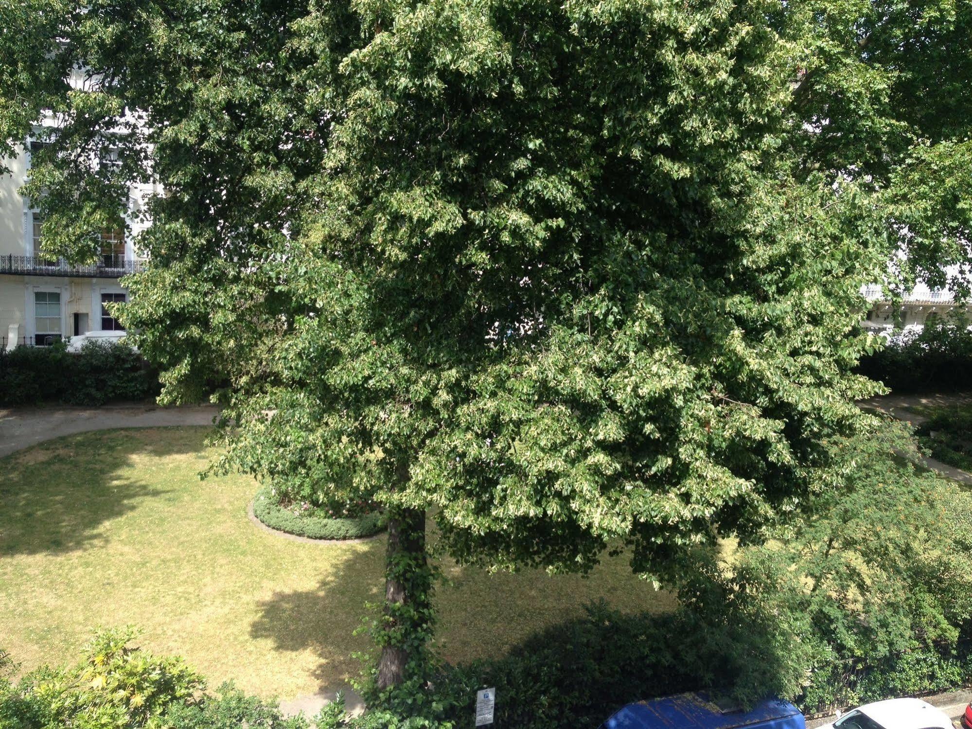 Hotell Kensington Court Notting Hill London