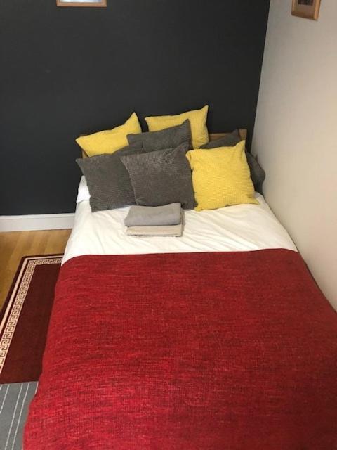 Guest house Raspberry Lodge London
