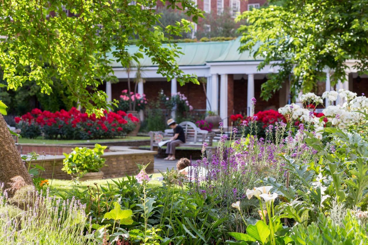 Dolphin House Serviced Hotel London