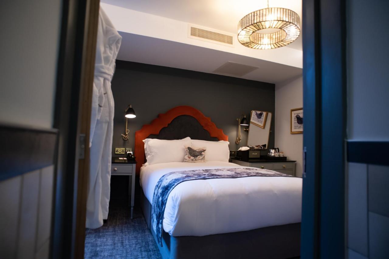 Hotell Blackbird