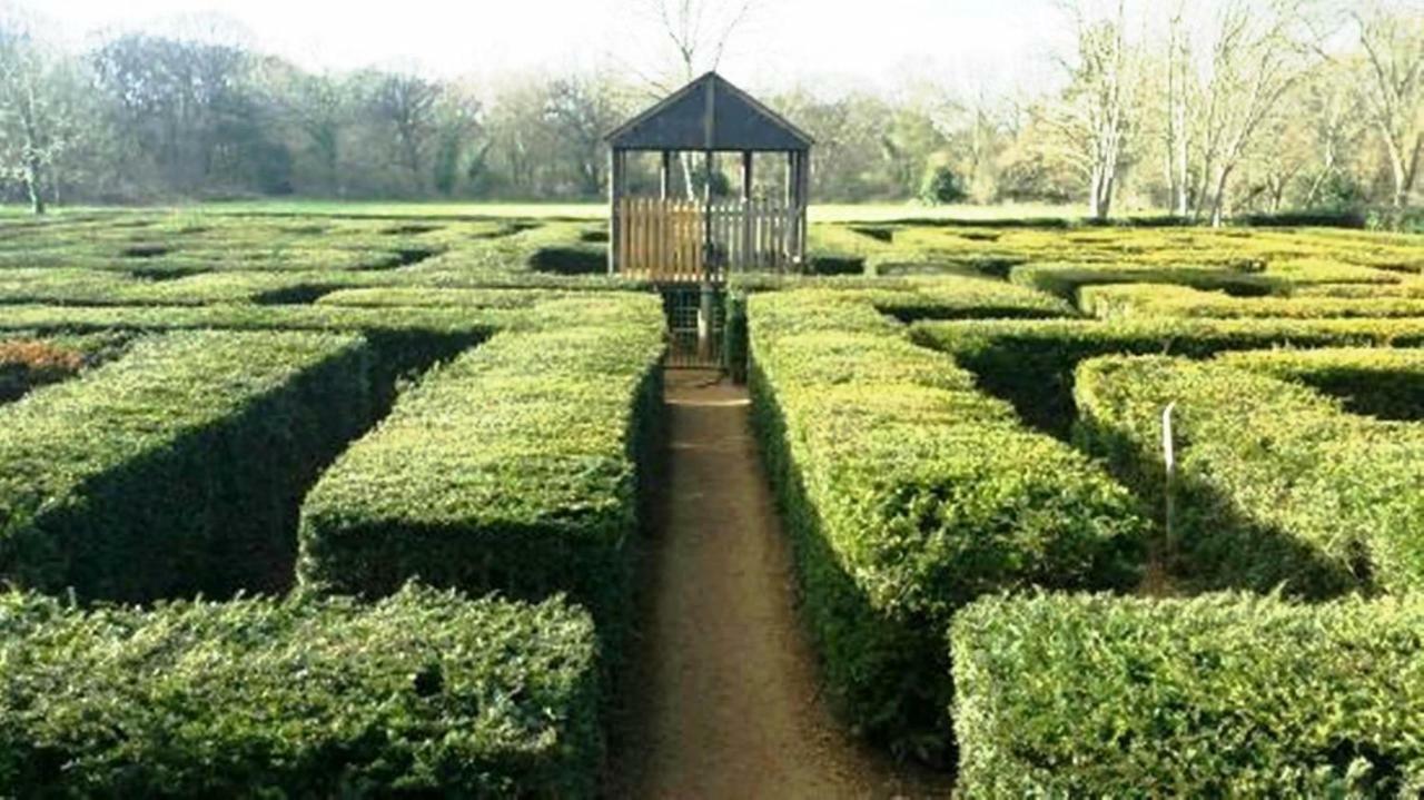 Séjour chez l'habitant Travelstop #london-ealing *