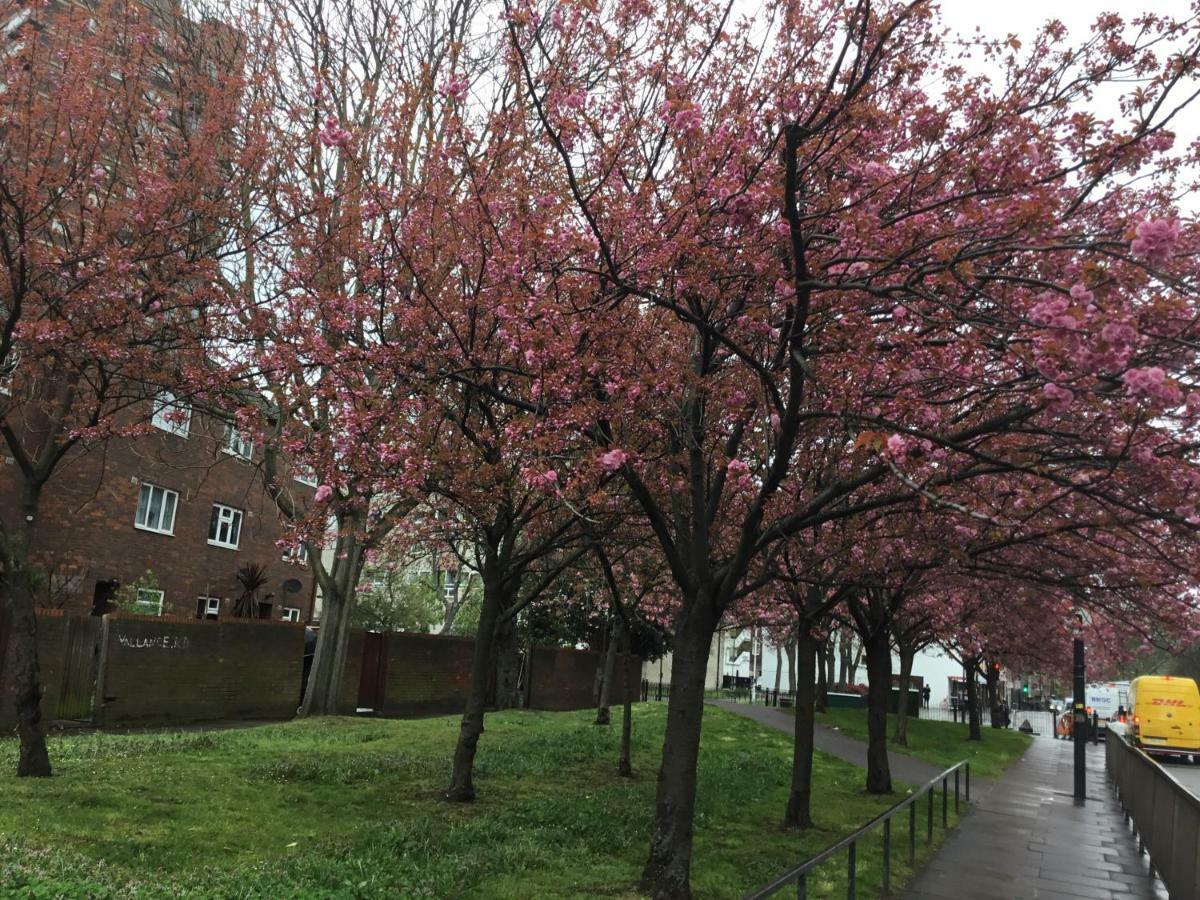 Al Iram Gæstehus London