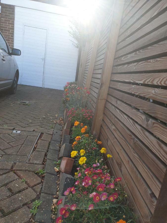 Private Extension With Bathroom And Kitchen London