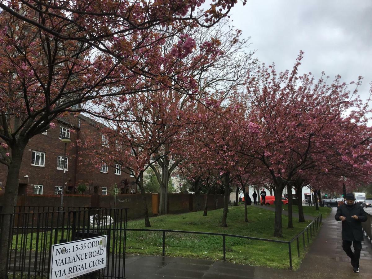 Al Iram Gæstehus London