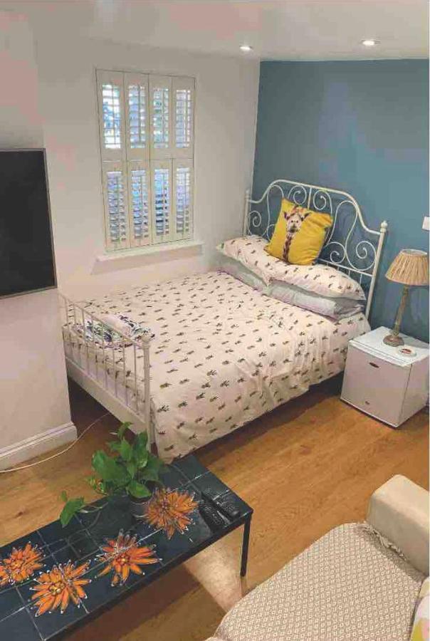 Séjour chez l'habitant Stylish Modern Studio, Mock Georgian House, Heart Of Trendy Hackney &
