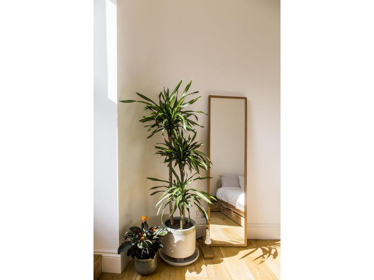 Apartment Modern In Hampstead For 4 London
