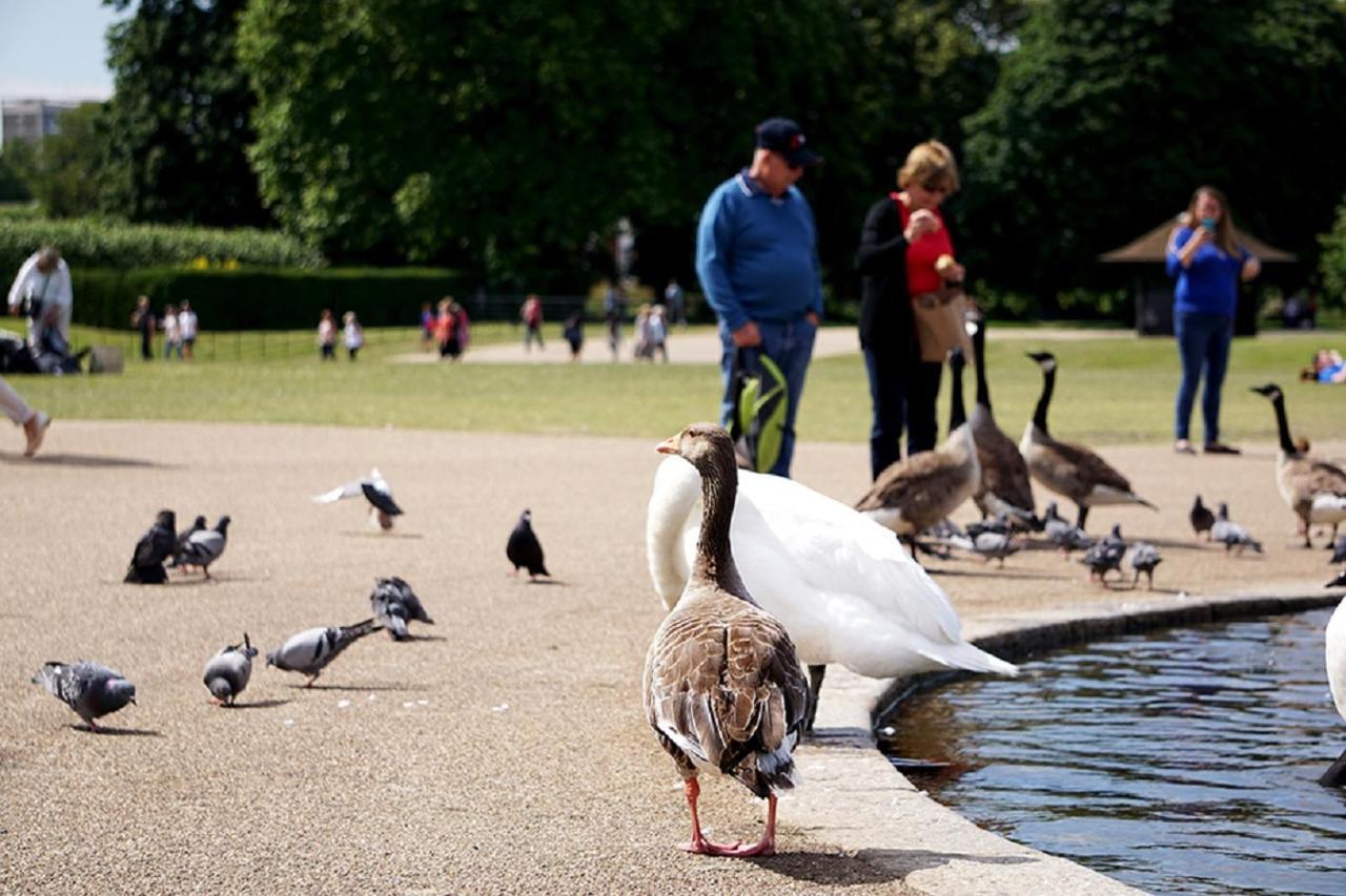 Astor Hyde Park (adults Only) * London