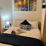 Cozy Studio