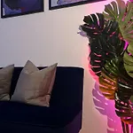 Entire Apartment Camden