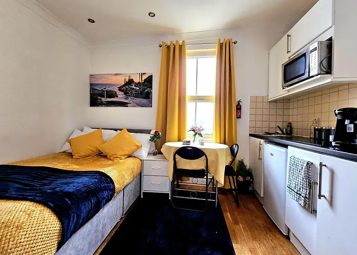 Elegant Spacious Studio Apartment In London