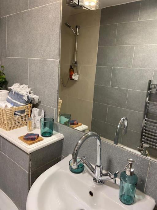 Leilighet Ivy House-period Garden Flat Chelsea/fulham London