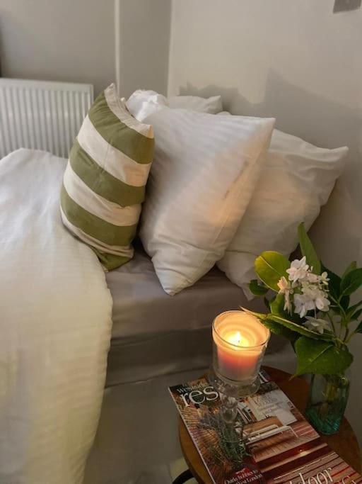 Leilighet Ivy House-period Garden Flat Chelsea/fulham *