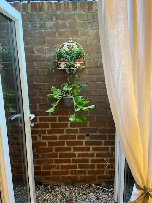 Ivy House-period Garden Flat Chelsea/fulham London