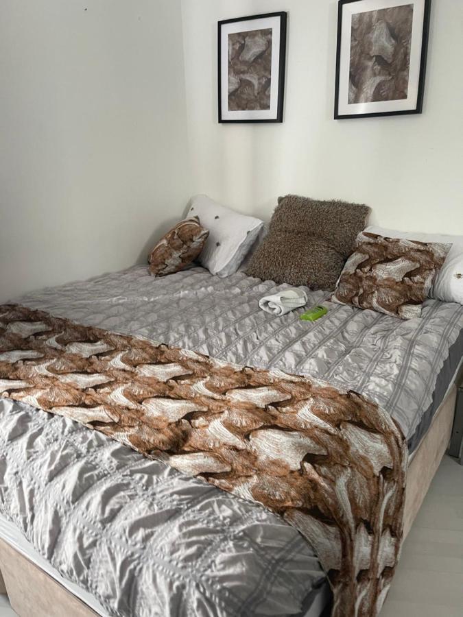 Apartment Spacious One Bedroom Ft In King's Cross