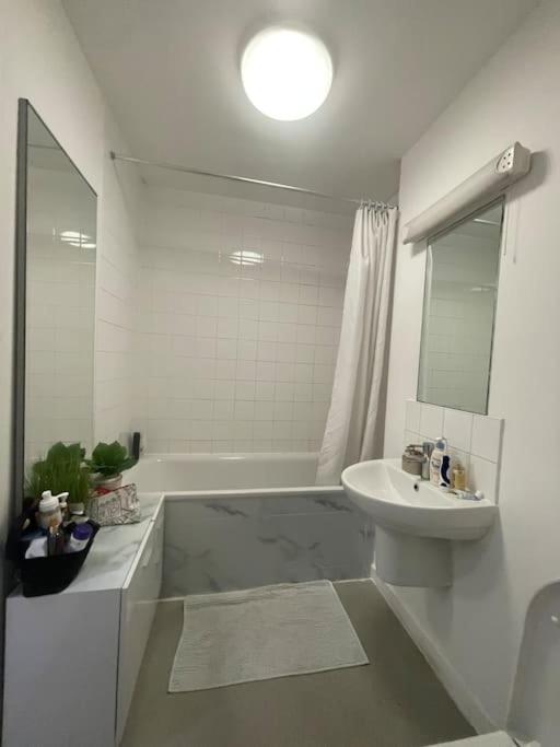 Spacious One Bedroom Ft In King's Cross Apartment