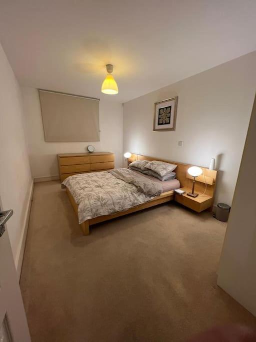 One Double Bedroom On Chelsea Bridge! * Londen