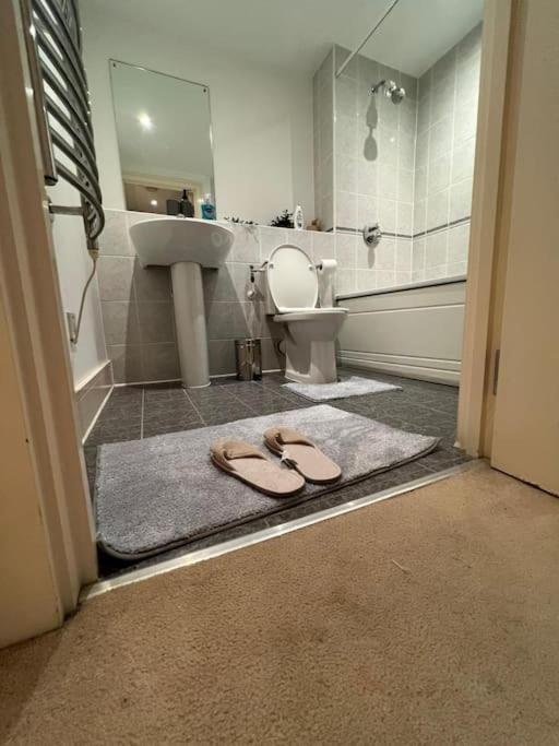 One Double Bedroom On Chelsea Bridge! Londen