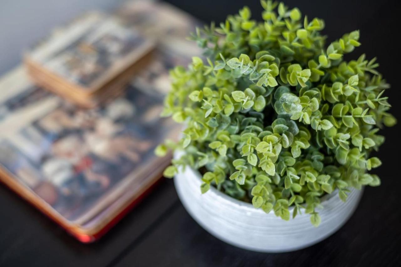 Guestready - Serenity Getaway In Stoke Newington *