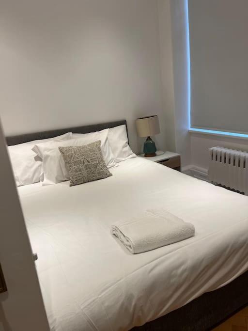 Lovely Apartment- Long Stayer Welcome Leilighet London