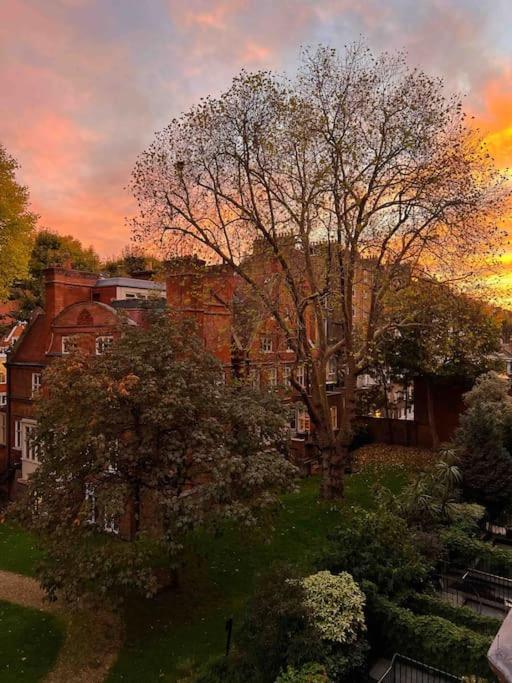 Lejlighed Luxury 2-bedroom In Prime South Kensington