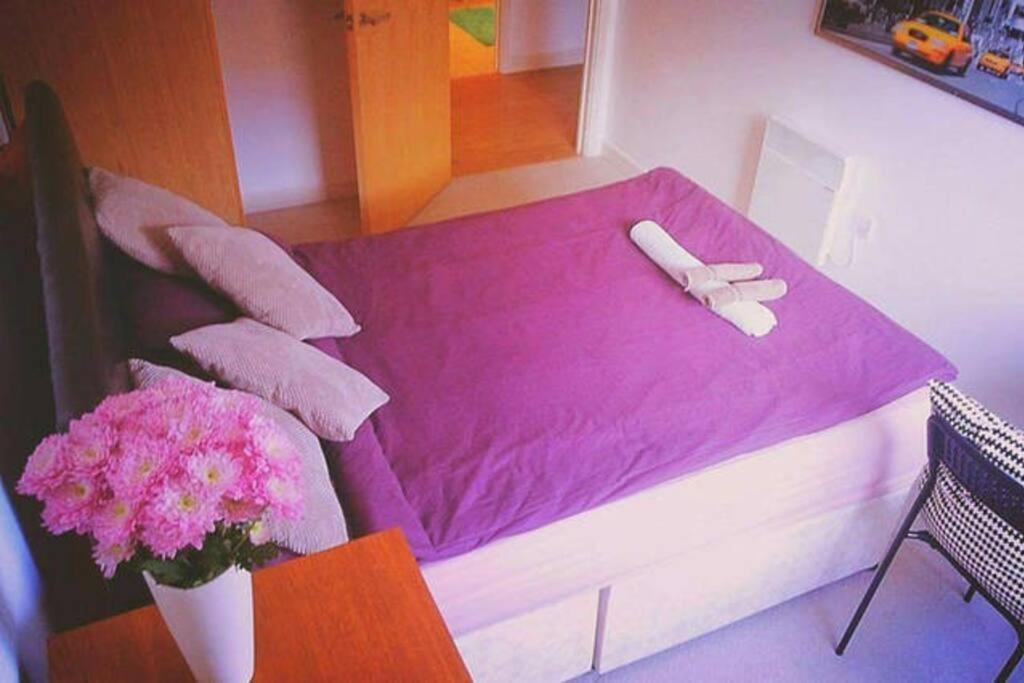 Superhost 1 Bedroom Flat 15 Mins To Center,zone 2 Lejlighed