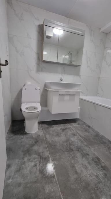 Brand New Flat Close To Turnpike Lane Tube Station Appartement
