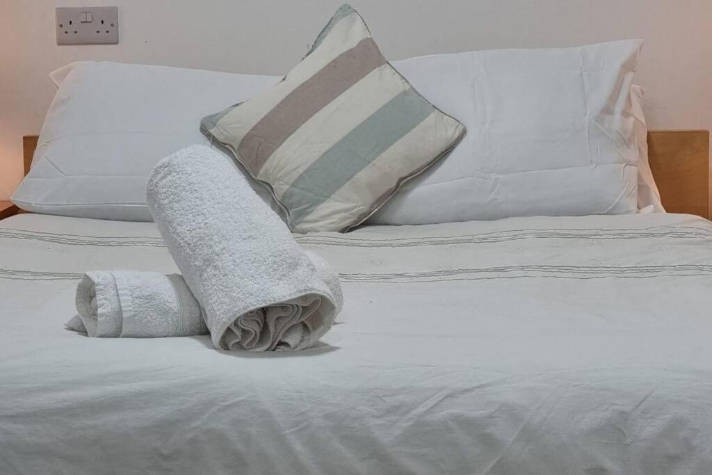 Appartement Brand New Flat Close To Turnpike Lane Tube Station Londen