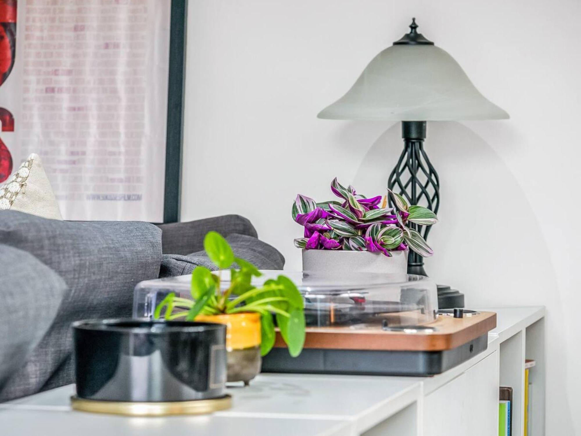 Apartment Pass The Keys Modern Terrace In Putney London