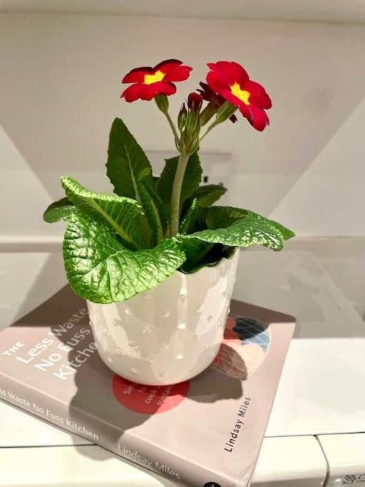 A Charming One Double Bedroom Flat Londres