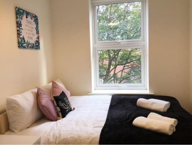 Séjour chez l'habitant Comfy Private Bedrooms Near Euston Station, Central London