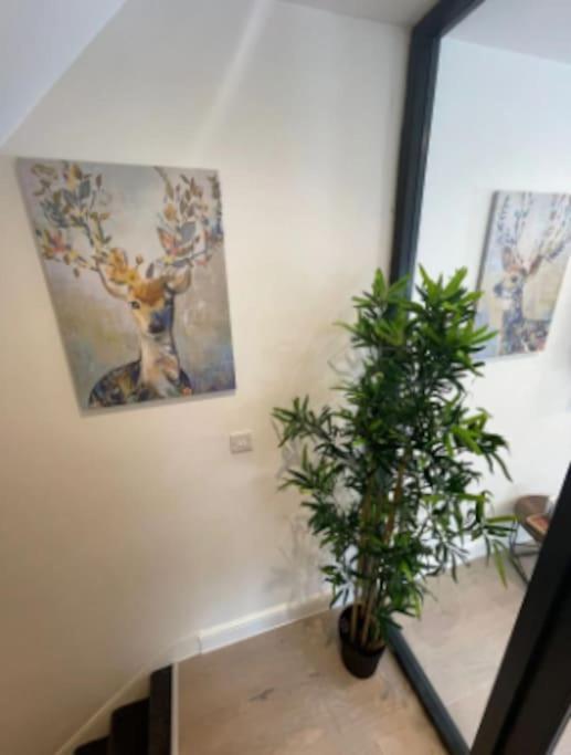 Appartement In Greater 2 Bedroom *